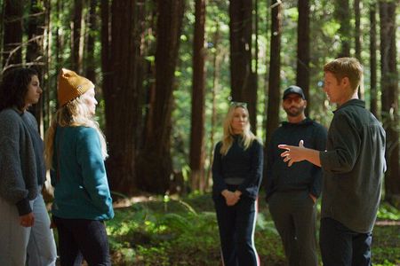 Redwoods Forest Bathing