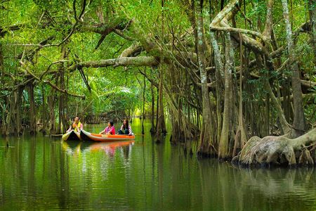 The Little Amazon and Sri Phang Nga Waterfall Full Day Tour From Khao Lak