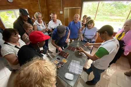 Cocoa and Gastronomy Tour at Hacienda CacaoyMango