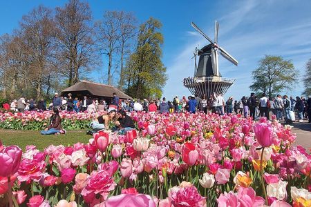 Keukenhof Luxury Private Tour (Max 7) from Amsterdam
