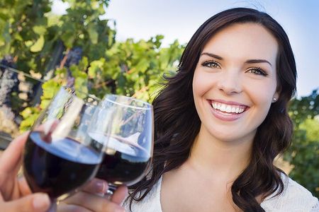 Niagara-on-the-Lake Small Group Wine Tour with Picnic Lunch