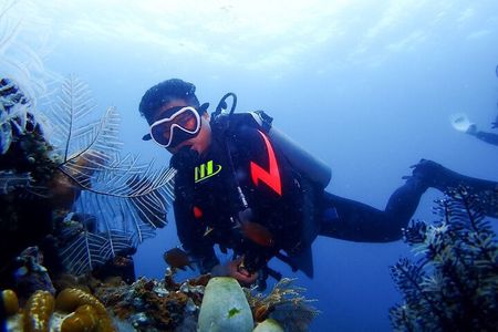 Bali Full Day Experience Scuba Diving Tour at Tulamben