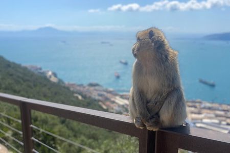 Go Tours Private Rock Experience Tour in Gibraltar