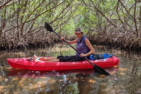 2 Hour Tandem Kayak Tour (Price for 2 People)
