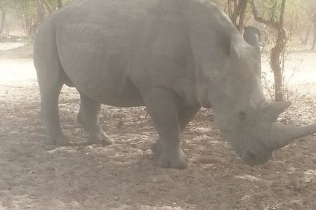 Safari Game Park