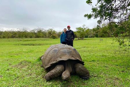 8-Day Galapagos Island Hopping Tour: Isabela, Giant Tortoises, and Snorkeling