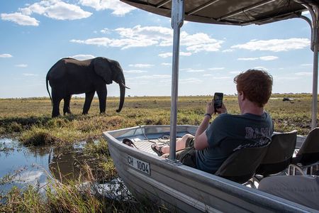Chobe Day Trip