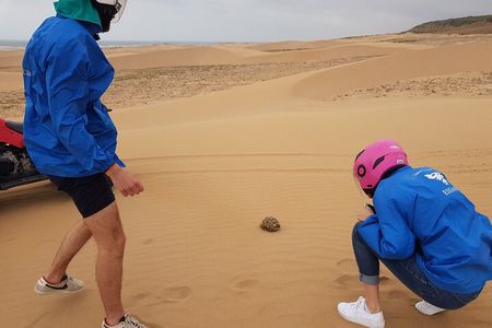 Essaouira: Quad dunes beaches ride (free transfer).