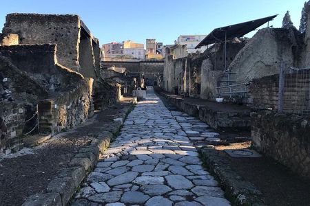 Herculaneum - Private Tour (skip-the-line admission included)