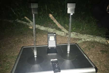 Fright Night Investigation: Small Group St. Augustine