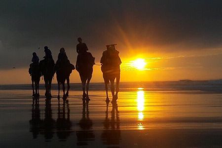  Excursion: 1H/Quad+1H/Camels (free transfer)