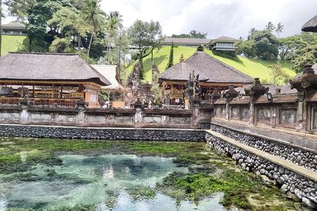 Bali Sightseeing Tour - Traditional village - Waterfall