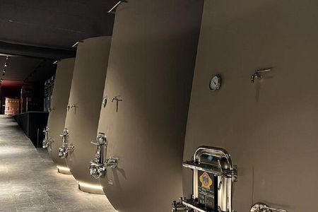 Amarone Wine Tour with 2 Wineries Lunch and Private Transfer