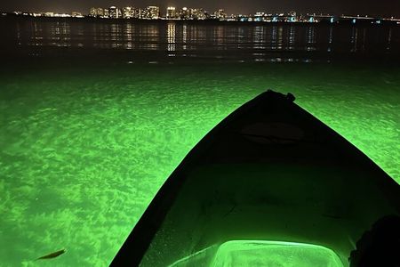 Sharkey's Glass Bottom Fish Feeding LED Night Tour in Sarasota