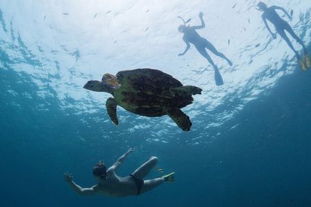 12-Day Galapagos Superior Adventure (Tourist Superior Class)