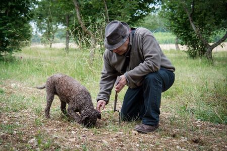 Truffle Cavage Demonstration