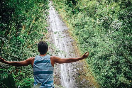 Manoa Waterfall Hike