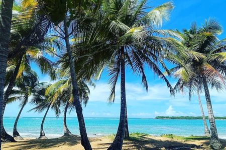 Hidden Fresh Spring of Water+ Cave+ Beach & Food Full Day Tour