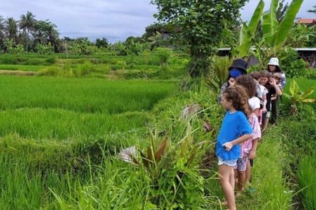 VILLAGE TOUR & RICE FIELDS TREKKING Jambangan Bali