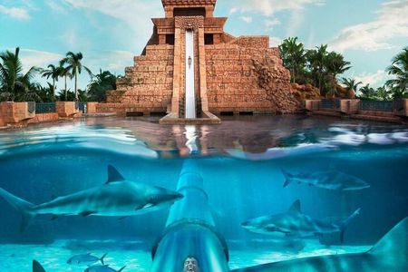 Atlantic Aquaventure Water Park - Dubai UAE (Shared)