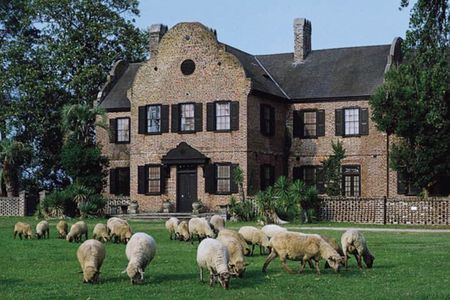 Middleton Plantation-3 hour guided tour- hotel pickup-admission