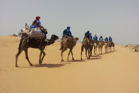 Essaouira: 3-Hour Camel Tour