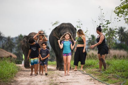 Elephant Jungle Sanctuary: Half Day Morning Program