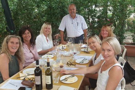 Private Tour in San Gimignano and Chianti Day Trip from Florence