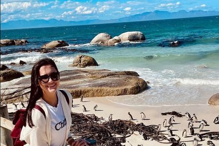 Cape Town Peninsula and Penguins Private Sightseeing Tour