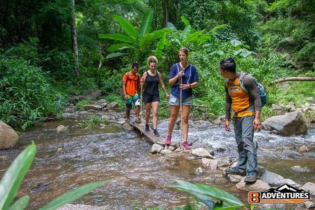 Trek to a Jungle Waterfall