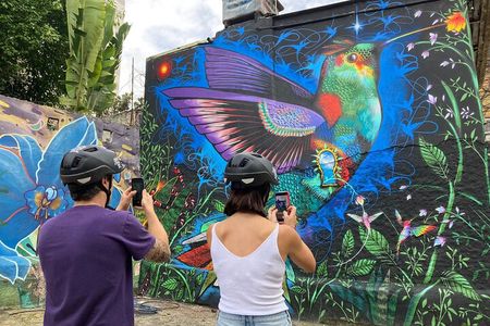 Street Art and Park Bike Tour