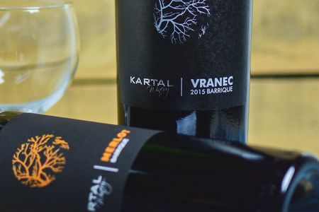 Premium Oak Aged Wines Tasting Tour in Family Winery Kartal in Skopje 