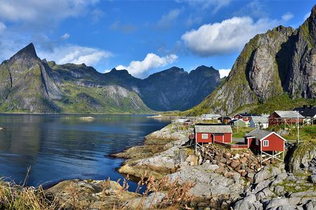 Special Summer Cruise Bus Tour of Lofoten