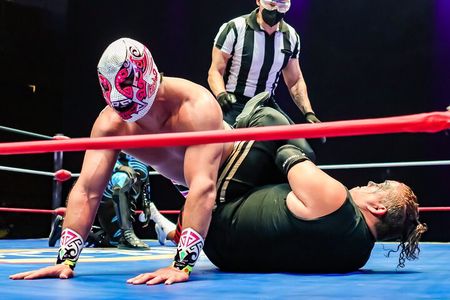 Lucha Libre, Pulque and Tacos Tour in Mexico City
