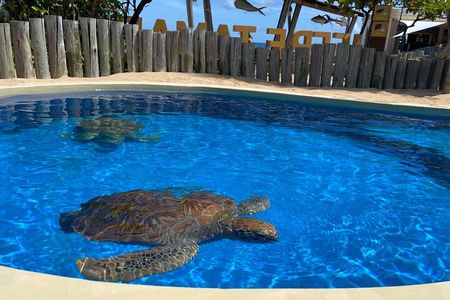 Private Tour to Praia do Forte and Praia de Guarajuba from Salvador