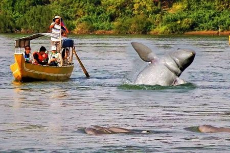 Discover Cambodia 8 Days from Siem Reap to Koh Trong -Phnom Penh 