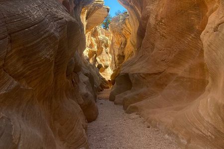Slot Canyon 2hr tour at Willis Creek