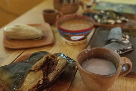 Mexican Food Gastronomic Tour - Mexico City