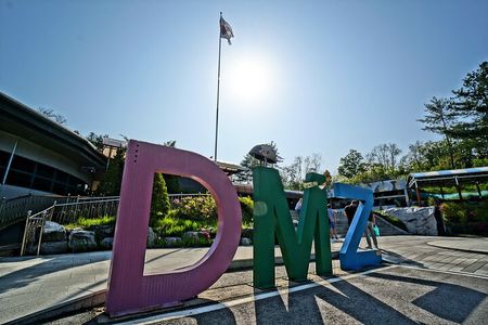 Premium Private DMZ Tour & (Suspension Bridge or N-Tower) include lunch