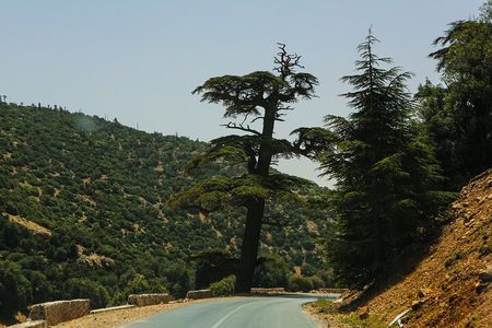 Day Trip to Middle Atlas Mountain and Berber Villages from Fes
