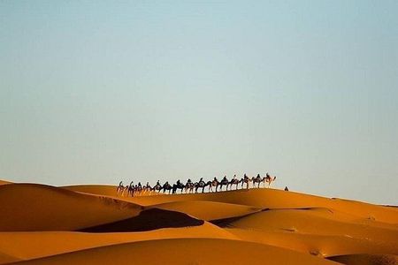 Night In Merzouga Desert, Camel Ride, Tent With Private Bathroom