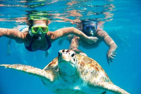 Nassau: Private Island & Snorkeling, Turtles, Drinks & BBQ 