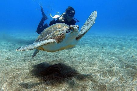 Discover beginner diving in Tenerife