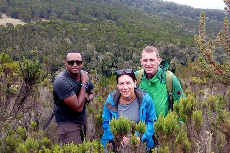 Kilimanjaro 1 Day Hike