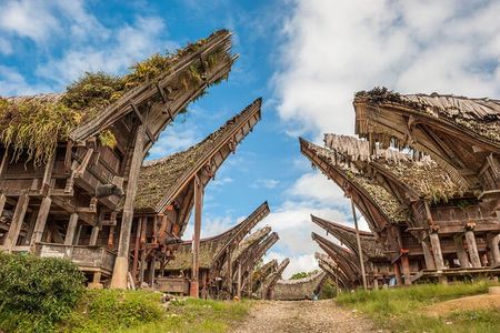 Toraja Highlight 3 Days