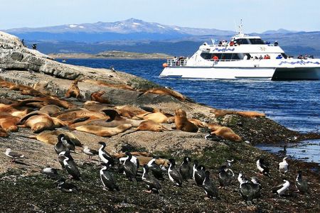 Navigation to Beagle Channel and Sea Lions Island with Transfers