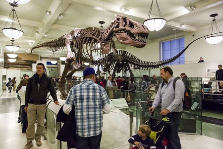 Washington DC Museum of Natural History Private Family tour