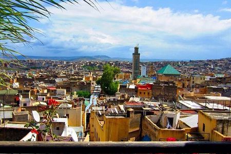 Fez medina and it's secrets : cultural tour (private)
