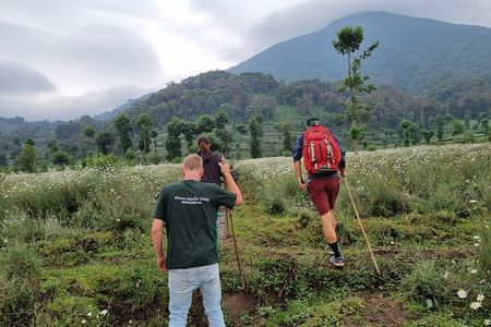 Full day Mt. Bisoke hike 