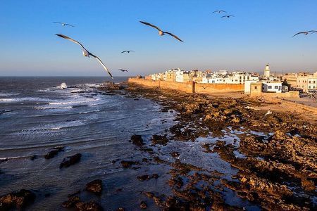 Private Essaouira day trip from Marrakech 